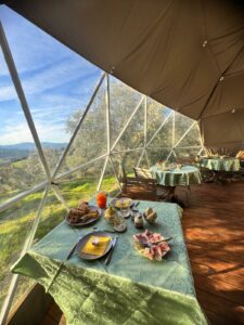 WhatsApp Image 2025-11-29 at 08.57.35