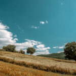 Perché è stupenda una vacanza nella natura